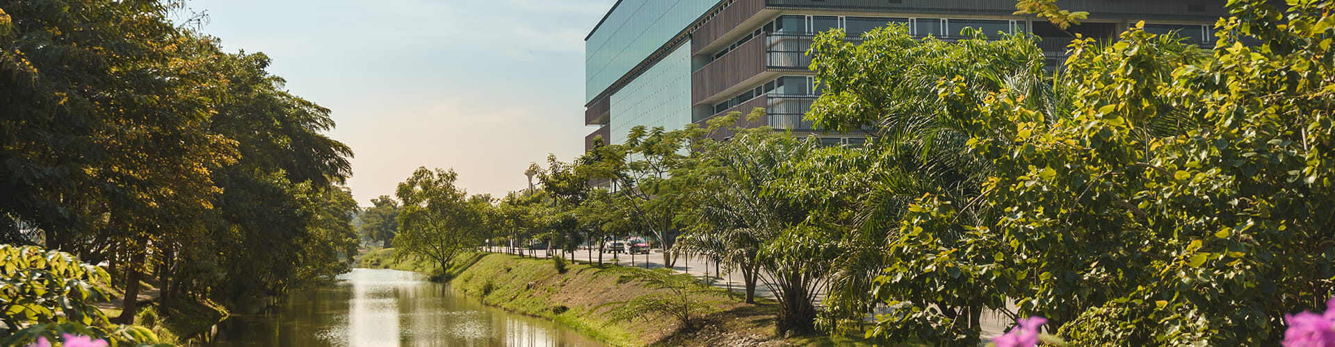 Modern building beside a calm canal lined with lush greenery under a clear sky.